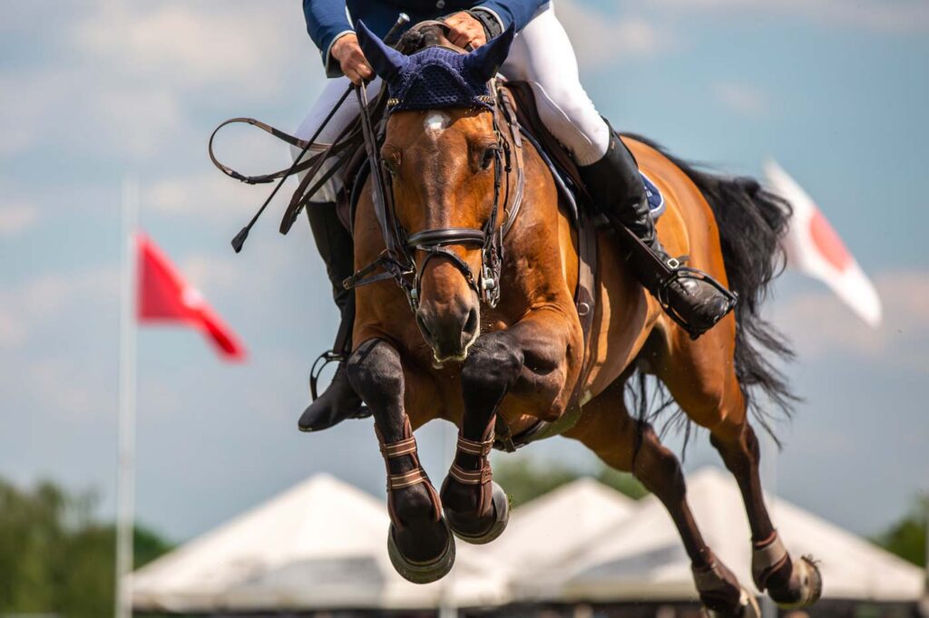 Equestrian Center Arezzo Programma Gare